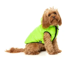 FuzzYard Aeon Hoodie - Lime Green