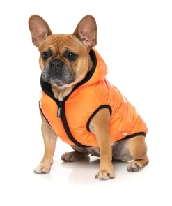 FuzzYard Aeon Hoodie - Orange