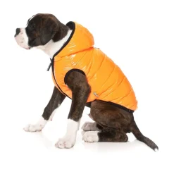 FuzzYard Aeon Hoodie - Orange