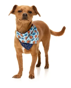 FuzzYard Ahoy There! - Bandana