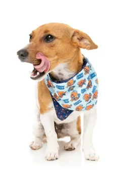 FuzzYard Ahoy There! - Bandana