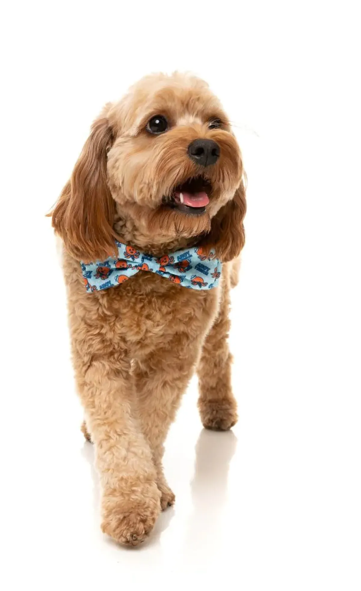 FuzzYard Ahoy There! - Bowtie