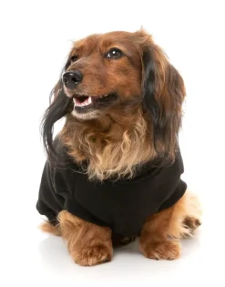 FuzzYard Allday 24 Sweater - Black