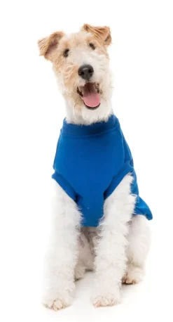 FuzzYard Allday 24 Sweater - Blue