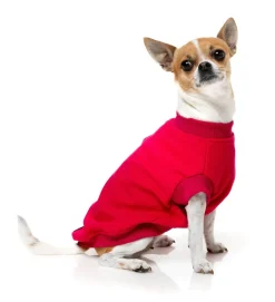 FuzzYard Allday 24 Sweater - Magenta