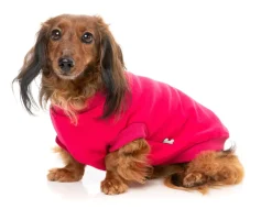 FuzzYard Allday 24 Sweater - Magenta