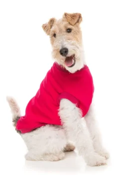 FuzzYard Allday 24 Sweater - Magenta