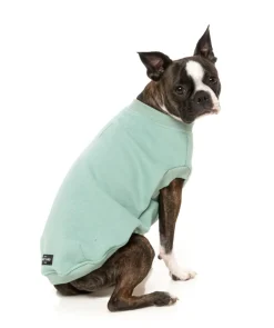 FuzzYard Allday Sweater - Mint