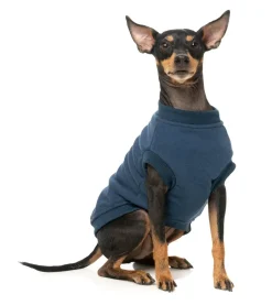 FuzzYard Allday Sweater - Navy