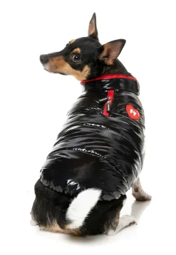 FuzzYard Amor Puffer Jacket - Black