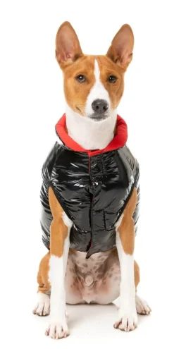 FuzzYard Amor Puffer Jacket - Black