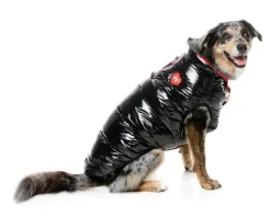 FuzzYard Amor Puffer Jacket - Black