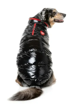 FuzzYard Amor Puffer Jacket - Black