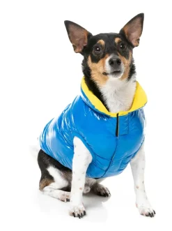 FuzzYard Amor Puffer Jacket - Cobalt Blue