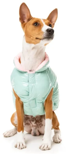 FuzzYard Amor Puffer Jacket - Mint