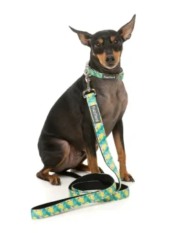 FuzzYard Bananarama - Dog Lead