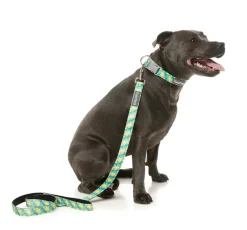 FuzzYard Bananarama - Dog Lead