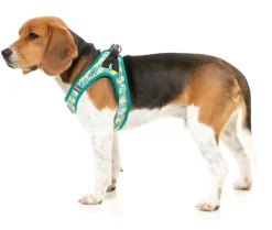 FuzzYard Bananarama - Step In Harness