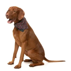 FuzzYard Be My Ghoul - Bandana