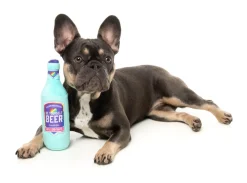 FuzzYard Be Yourself Beer - Dog Toy