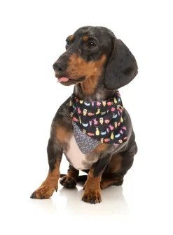 FuzzYard Bed Bugs - Bandana