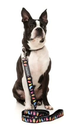 FuzzYard Bed Bugs - Dog Collar