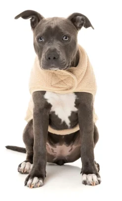 FuzzYard Beige Teddy Wrap Vest