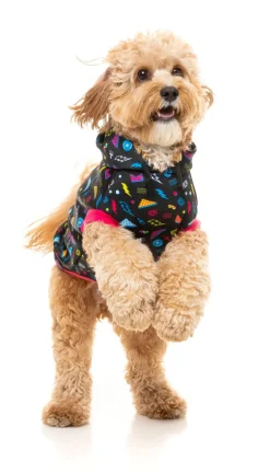 FuzzYard Bel Air Hoodie