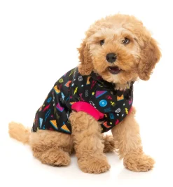 FuzzYard Bel Air Hoodie