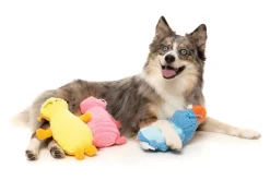 FuzzYard Belly The Bed Bug (Yellow) - Dog Toy