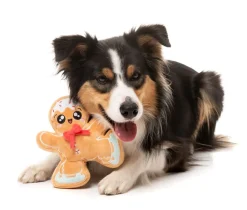 FuzzYard Biscuit Blader - Dog Toy