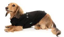 FuzzYard Black Street Sweater