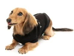 FuzzYard Black Street Sweater