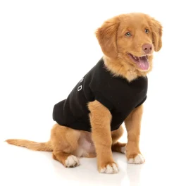 FuzzYard Black Street Sweater