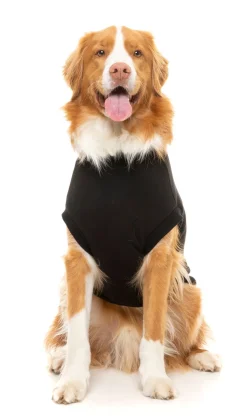 FuzzYard Black Street Sweater