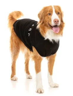 FuzzYard Black Street Sweater