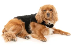 FuzzYard Black Teddy Wrap Vest