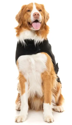 FuzzYard Black Teddy Wrap Vest