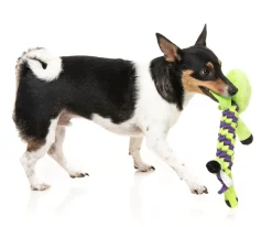 FuzzYard Bone Affleck - Dog Toy