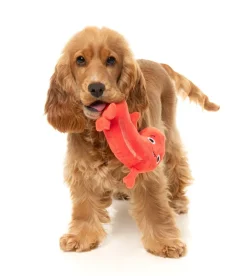 FuzzYard Brad Wurst - Dog Toy