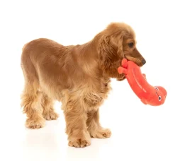 FuzzYard Brad Wurst - Dog Toy