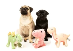 FuzzYard Brienne the Brontosaurus