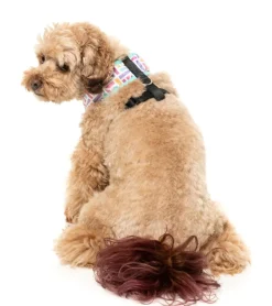 FuzzYard Bubblegum Burst - Dog Harness