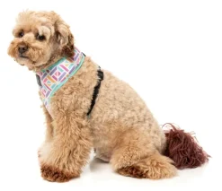 FuzzYard Bubblegum Burst - Dog Harness