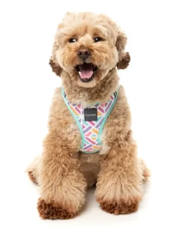 FuzzYard Bubblegum Burst - Dog Step In Harness