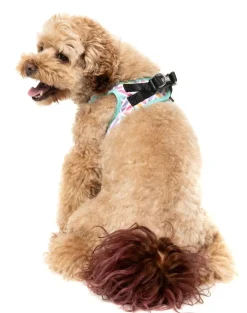 FuzzYard Bubblegum Burst - Dog Step In Harness