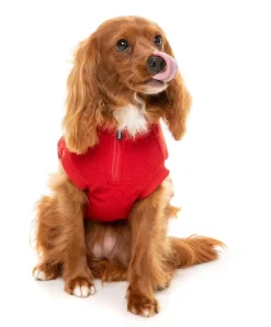 FuzzYard Cambridge Sweater - Red