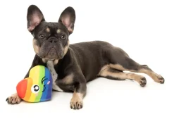 FuzzYard Can't Think Straight - Dog Toy