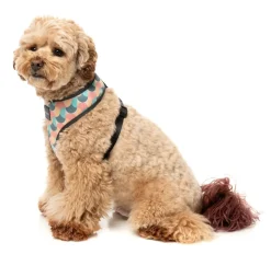 FuzzYard Carioca - Dog Harness