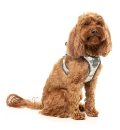 FuzzYard Carioca - Dog Step In Harness